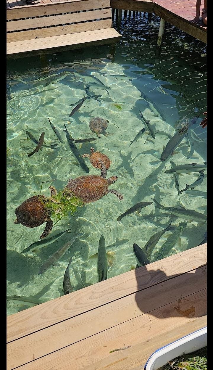 Marevel Tours gallery image